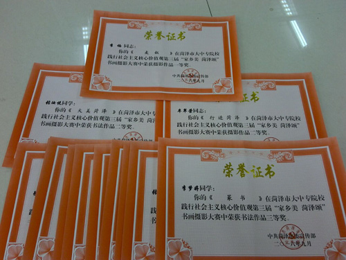 365足球在全市大中专院校书画摄影大赛中获得佳绩