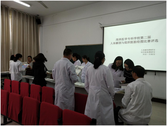 365足球第二届人体解剖学与组织胚胎学绘图比赛复评