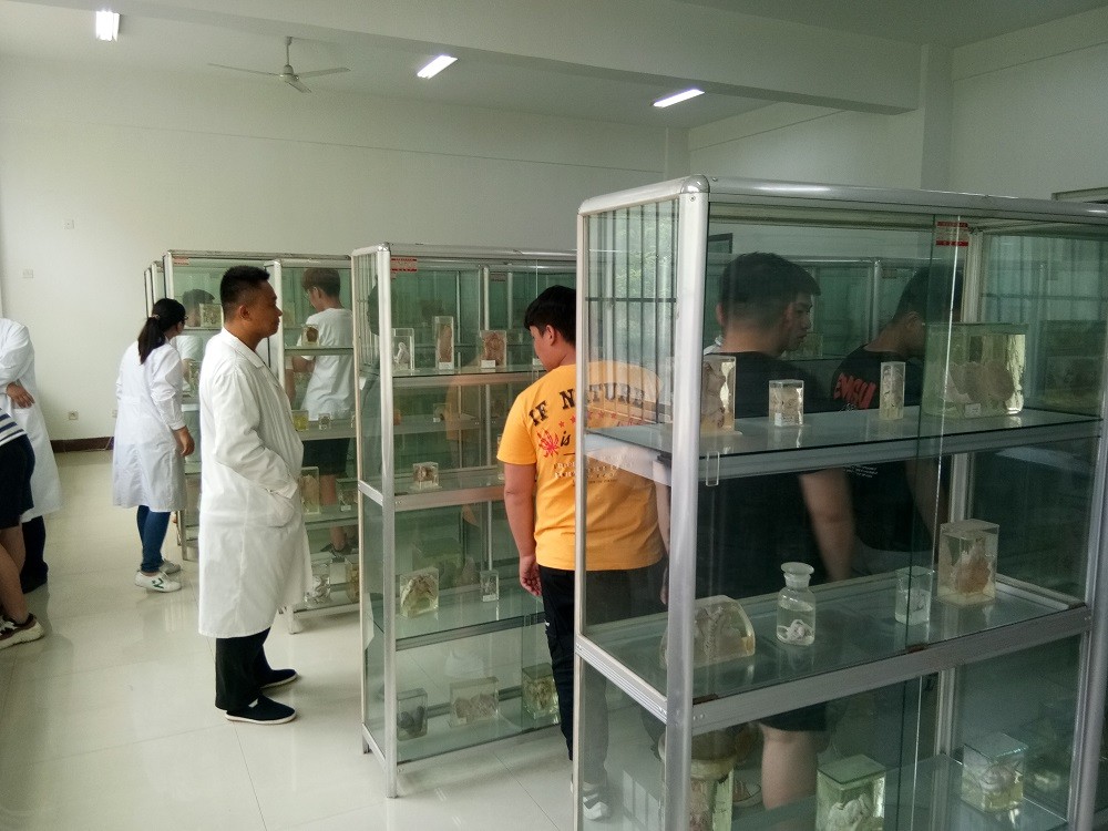 菏泽学院体育系师生来365足球生命科学馆参观