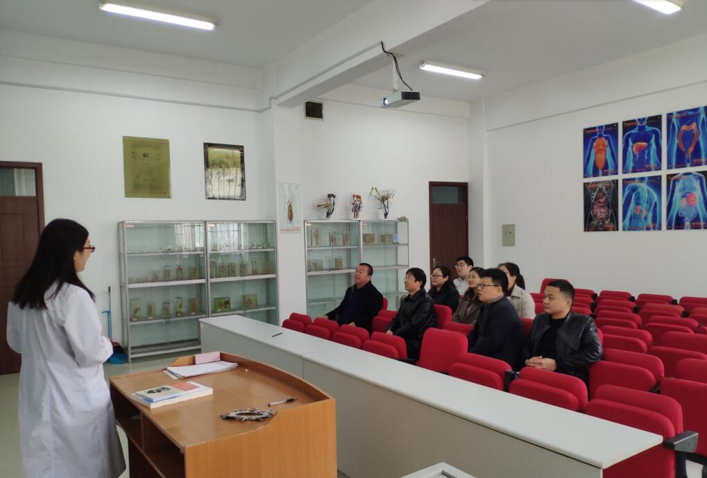 我部解剖学教研室召开青岛大学进修汇报会议